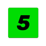 Bortoleto #5 Coaster